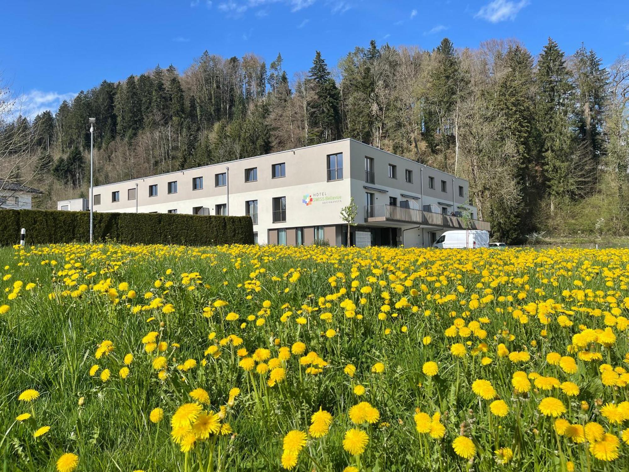 Hotel Swiss Bellevue Oberwangen Exterior foto